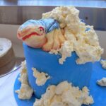 Canberra Centenary Cake Competition