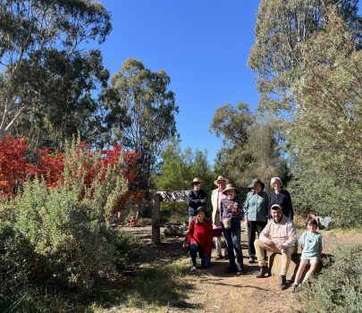 Watson Microforest
