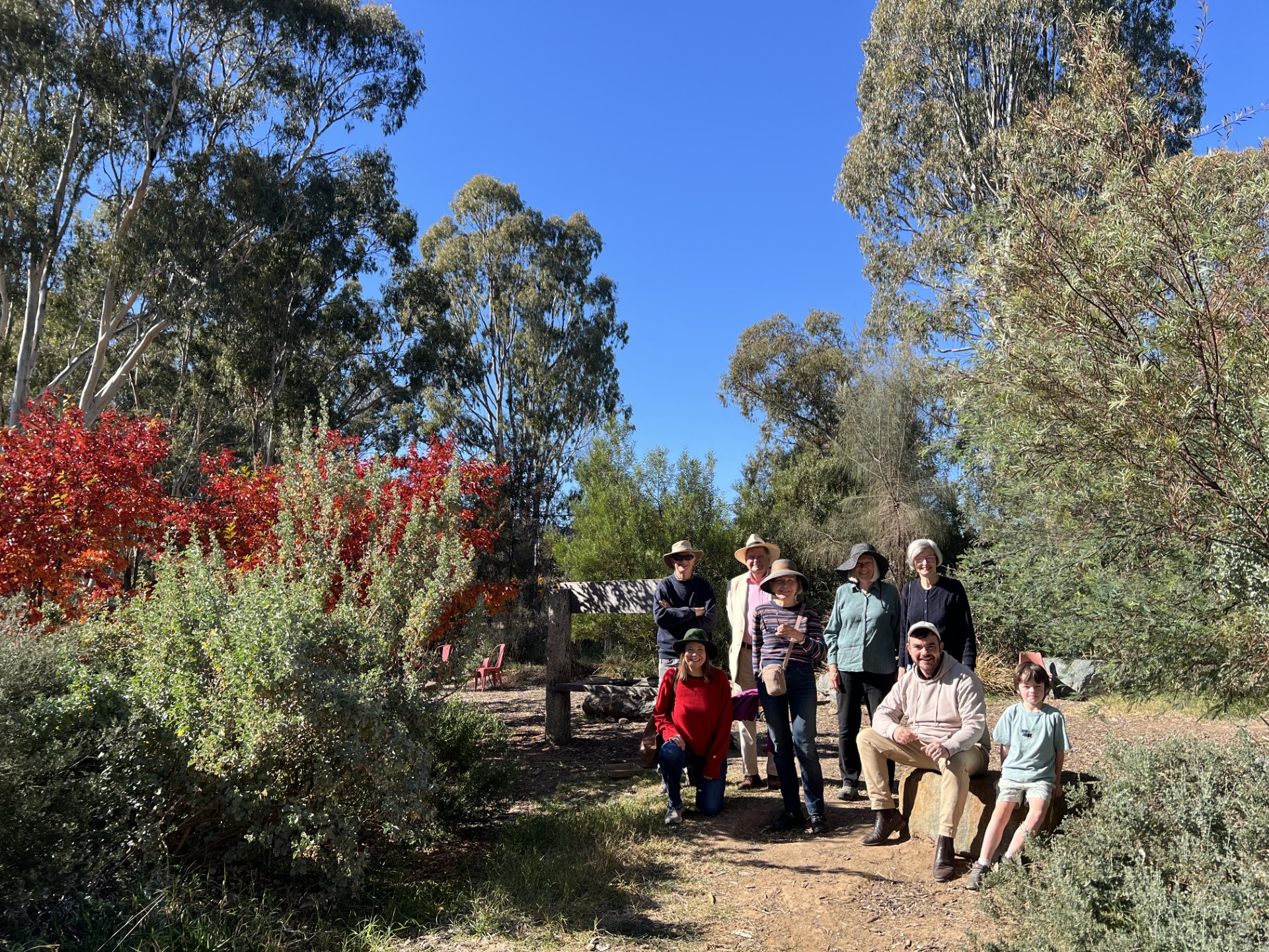Watson Microforest